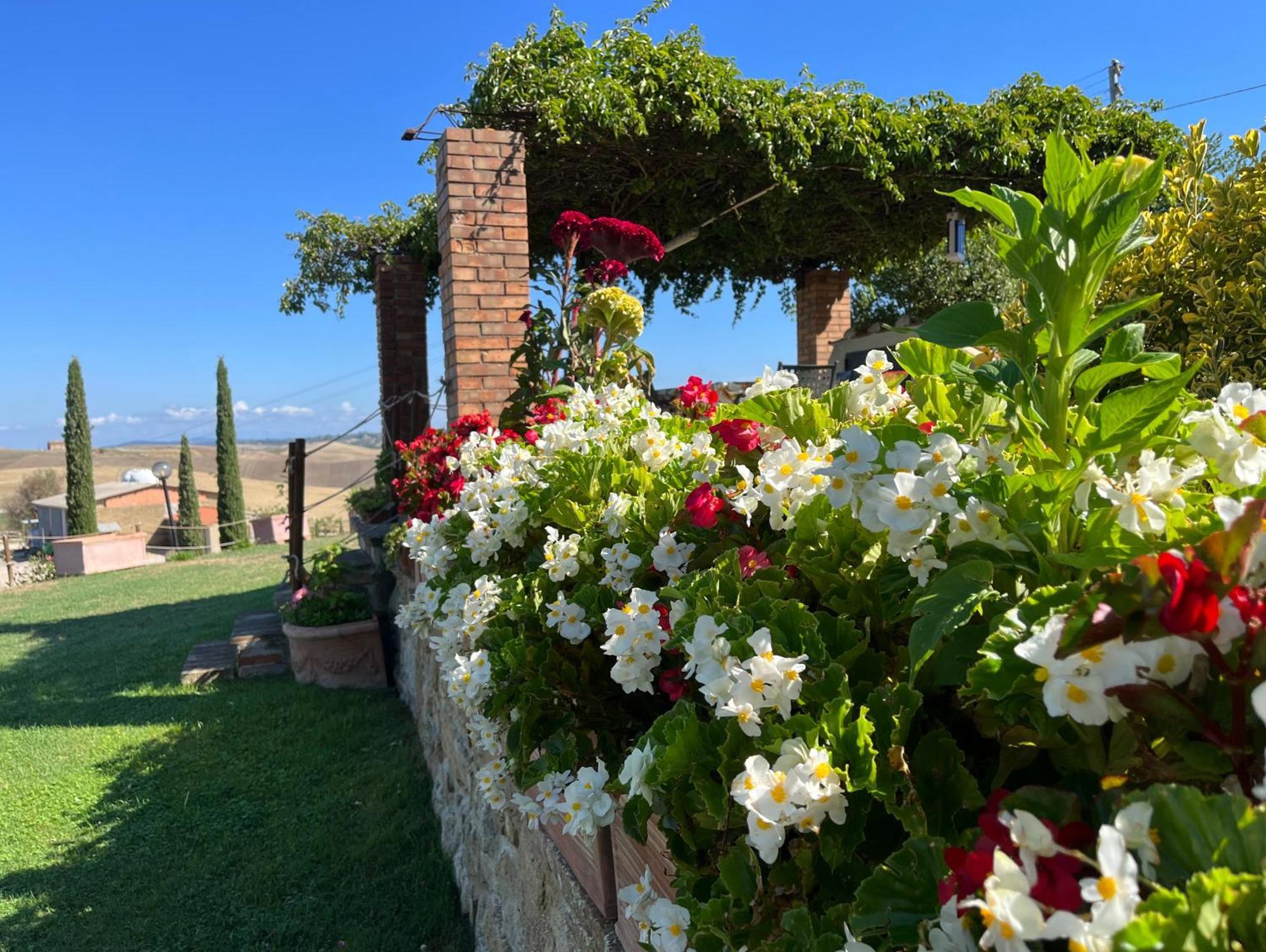 Podere Poggio Salto Apartment Pienza Exterior photo